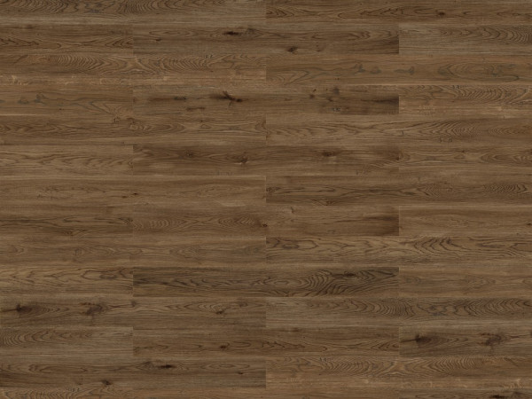 Korkboden Naturboden Wood Natural XL Essential Oak Elegant