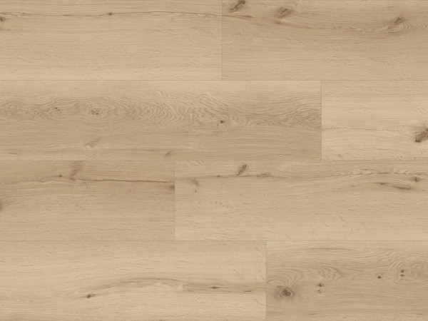 Vinylboden Klebevinyl Objekt Eiche Terra Landhausdiele