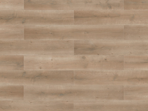 Laminat Lifestyle Trend Bellemont Oak natur brown Landhausdiele