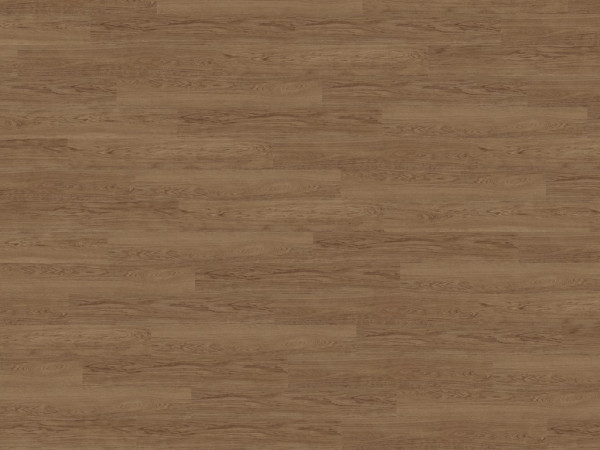 Korkboden Naturboden Wood Natural XL Elegant Oak