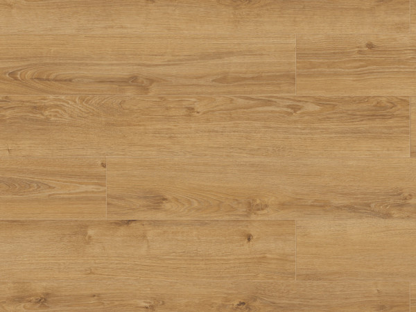 Laminat Atlantic 8 Old Camberwick Oak K794