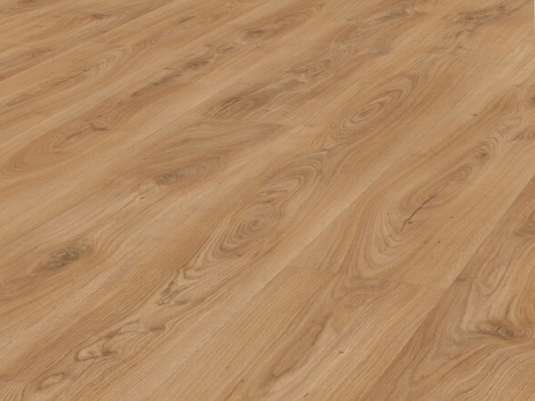 Laminat LL 250 Schlosseiche natur 6836