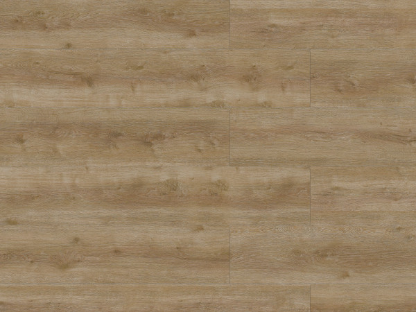 Vinylboden SPC Rigid Continue Line Hygge Hazel Oak 8025 Landhausdiele