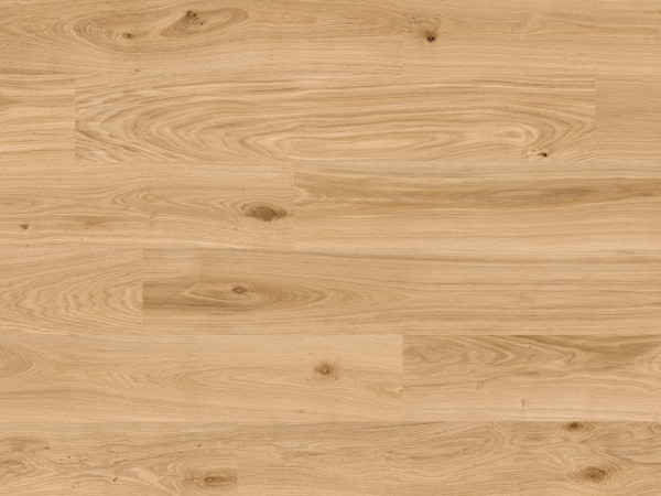 Korkboden Naturboden DESIGNTrend Eiche Blond