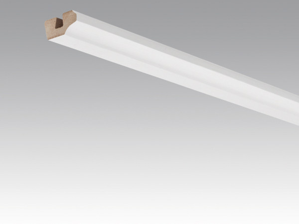 Wand- und Deckenleiste Whiteline 4074 Dekor